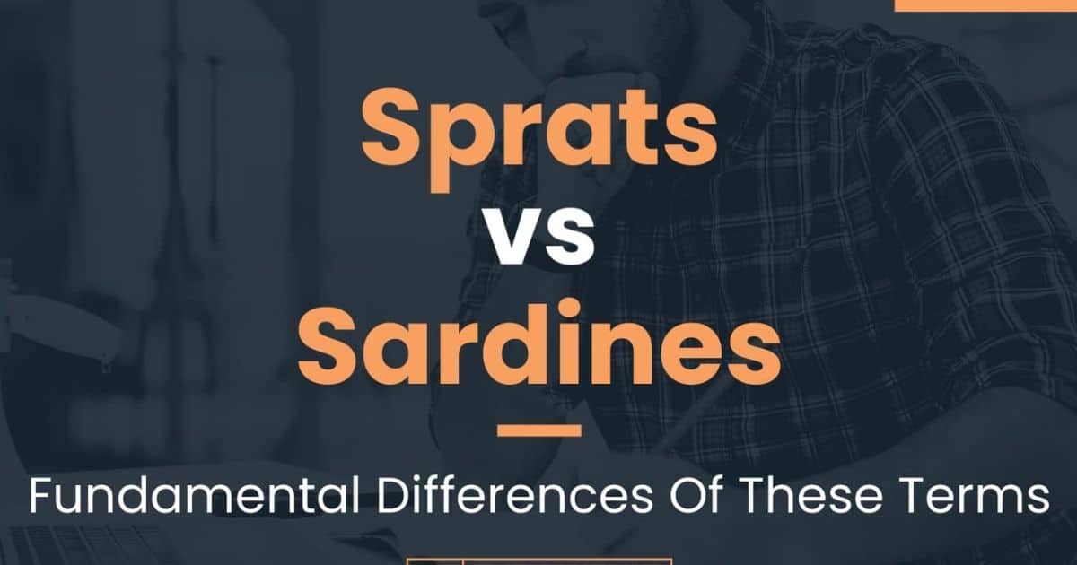 Sprats vs Sardines