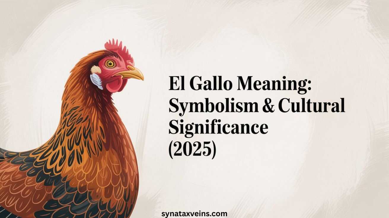 el-gallo-meaning