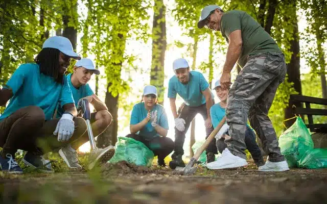 Sustainable Tree Care Practices for Thriving Urban Landscapes in Greater Jackson, MS