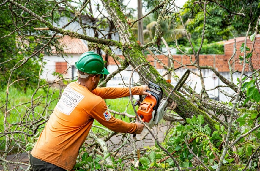Why Quick, Professional Tree Service Is Essential in Columbus, OH: Solutions for Every Season